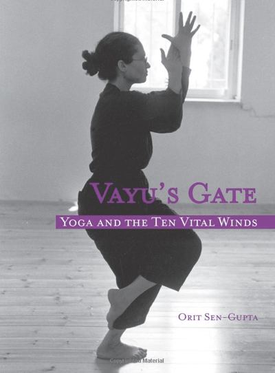 Vayu's Gate Orit Sen Gupta